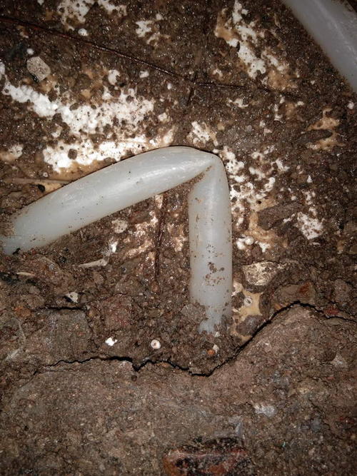 绥中堵点精准查找